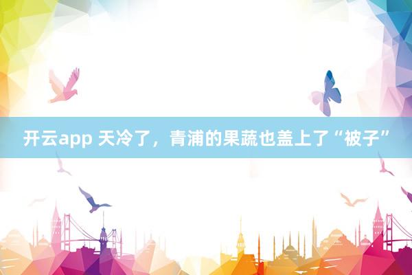 开云app 天冷了，青浦的果蔬也盖上了“被子”