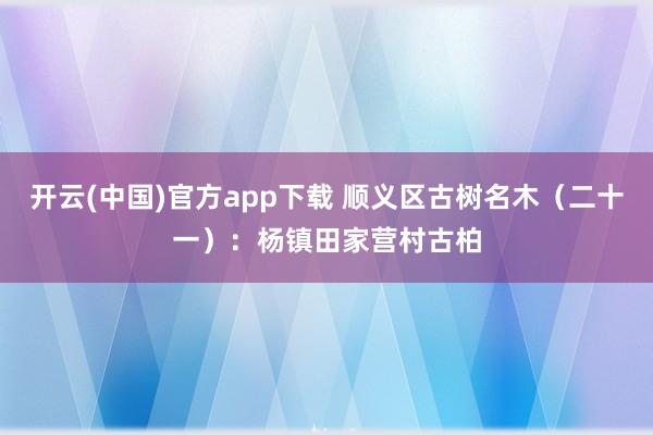 开云(中国)官方app下载 顺义区古树名木（二十一）：杨镇田家营村古柏