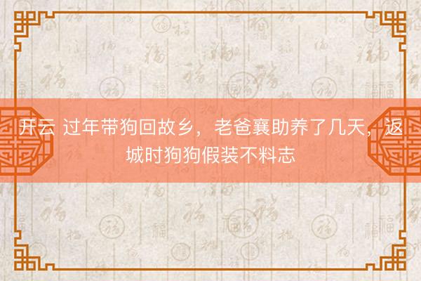 开云 过年带狗回故乡，老爸襄助养了几天，返城时狗狗假装不料志
